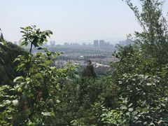 -府君山公园