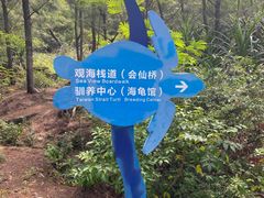 -广东惠东海龟国家级自然保护区