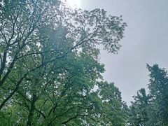 -句容茅山景区