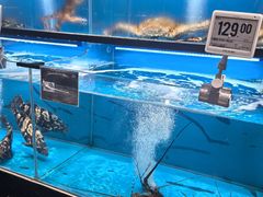 -Olé精品超市(上海港汇恒隆店)