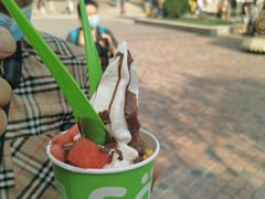 -Salud撒露欧洲冻酸奶(蓝色港湾店)