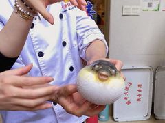 -长顺河豚馆(江洲东路)