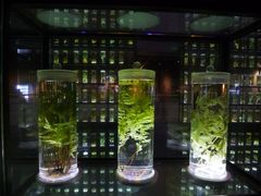 -广东中医药博物馆