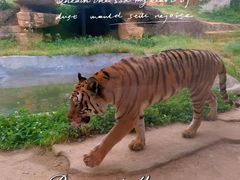 -杭州野生动物世界