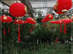 -南宫五洲植物乐园