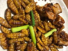 蚕蛹-九寸花汀海鲜烤肉自助(中东迪克店)