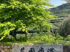 -龙坞茶村