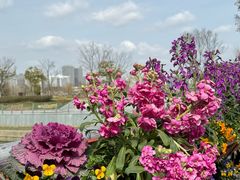 -上海植物园-4号门售票处