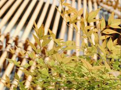 -竹里馆 ·茶食(奥体店)