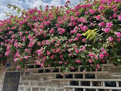 -老门东历史文化街区