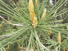 -汉景帝阳陵博物院