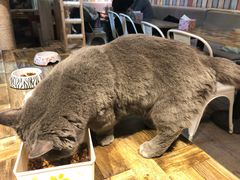 -小时光咖啡馆(开森度假森林店)