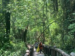-秦岭终南山世界地质公园翠华山景区
