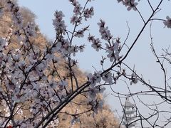 -鸡鸣山旅游风景区