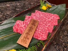 -老乾杯(深圳湾万象城店)