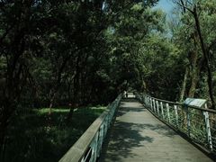 -西湖风景区-江洋畈生态公园