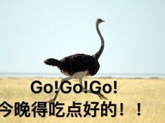 -家味螺蛳粉&烤鱼(五角场店)