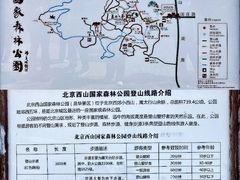 -北京西山国家森林公园
