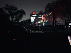 -枫花园汽车电影院(朝阳公园店)