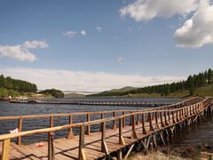 -塞罕坝国家级自然保护区