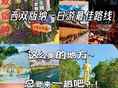 -西双版纳原始森林公园