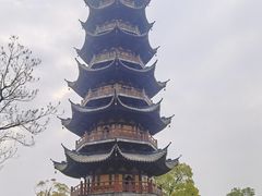 -龙华素斋(龙华路店)