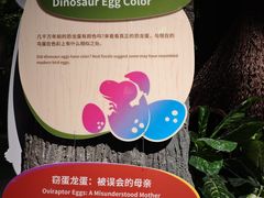 -厦门诚毅自然探索馆