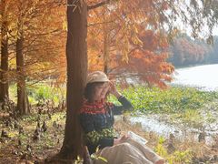 -上海海湾国家森林公园