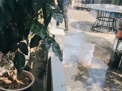 -野渡坡·极致湘菜·庭院餐厅(汉阳店)