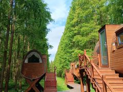 -黄海国家森林公园