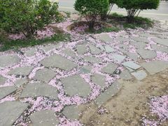 -西安浐灞国家湿地公园