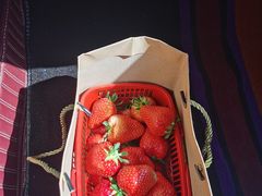 -甜心庄园·甜心草莓采摘园(西青中北店)