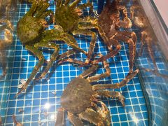 -连鹭海鲜·海肠捞饭·海胆饭(星海店)