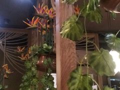 -云海肴·云南小炒·汽锅鸡(天津国金汇店)