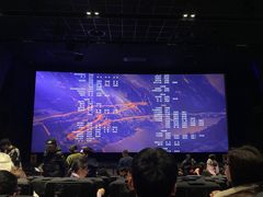 -奥斯卡升龙国际影城(RealD Cinema)