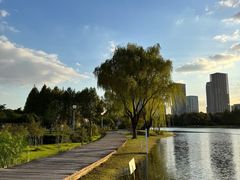 -尚贤河湿地