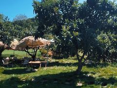 -桃源山庄·水蜜桃采摘·柴火鸡·烧烤团建(龙泉山店)
