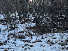 -帽儿山国家森林公园