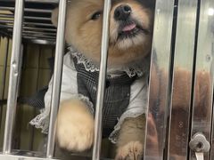 -派特宠物医院(圆融广场店)