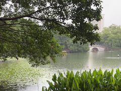 -荔湾湖公园