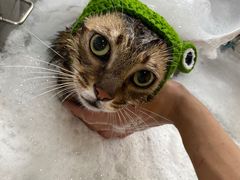 -PETKIT小佩宠物(昭化店)