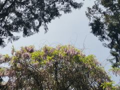 -北京国子监胡同