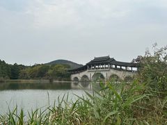 -长广溪湿地公园