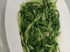 -金华安大酒楼·老牌潮菜·粤式茶点(东方国际店)