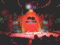 -珠海横琴长隆《卡卡虎奇遇记》