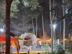 -二荆条·蜀鲜汇城市森林火锅