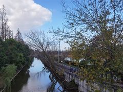 -上海长兴岛郊野公园