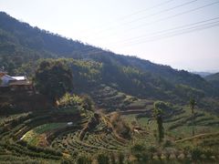 -杨家堂村