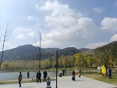 -千年银杏谷文化旅游区