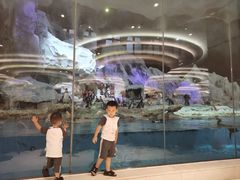 -帝企鹅自助餐厅•儿童岛•真企鹅(长隆企鹅酒店)